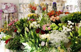 Flowers Allium Florist Stow On The Wold Moreton In Marsh