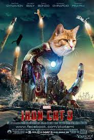 Marvel Iron Cat 3 Cat Cosplay Cat Superhero Cute Cat Wallpaper