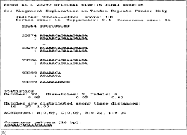 The output consists of two files: Tandem Repeat An Overview Sciencedirect Topics