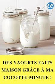 Des Yaourts Faits Maison Grace A Ma Cocotte Minute Recette Yaourt Fait Maison Recette Yaourt Maison Yaourt Maison Sans Yaourtiere