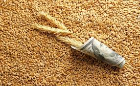 Russia’s wheat export duty returns to zero
