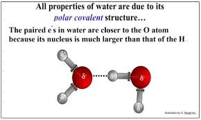 Even though ch4 consists of different atoms with different whether or not a compound is polar or non polar determines on how large the difference in electronegativity is the four bonds of carbon tetrachloride (ccl4) are polar, but the molecule is nonpolar because the. 2 3 Chemical Bonds Biology Libretexts