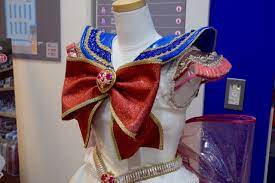 Dangerous Ladies Sailor Moon Costume Lady Sailor Moon