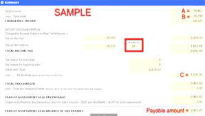 You have decided to set up a business on your own or with partners to generate the following sources of. Beginner S Tax Guide For Online Businesses In Malaysia Free Malaysia Today Fmt