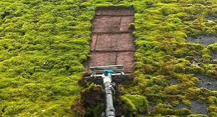 Careful cleaning of roof tiles