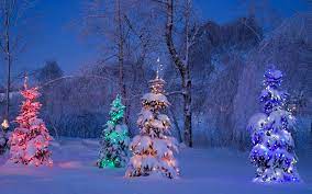 Free christmas wallpaper downloads biography free christmas wallpapers are available for many different websites and you can expect some of the popular themes. 55 Christmas Desktop Theme