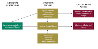 Health Belief Model Promoting Quality Malaria Medicines Through Sbcc