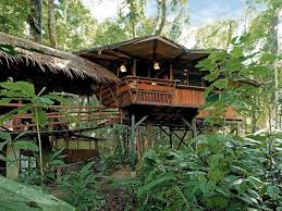 Bear camp cabins will open two brand new cabins in the winter of 2020. The World S Most Spectacular Treehouses Booking Com