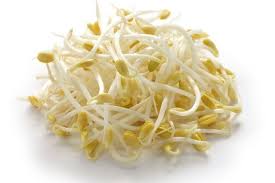 Cara bikin toge pendek toge soto toge rawon cara membuat toge carabikintoge. Toge Sayuran Segar Bernutrisi Tinggi Halaman All Kompas Com