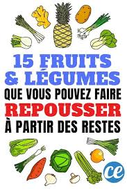15 Fruits Legumes Que Vous Pouvez Faire Repousser Chez Vous A L Infini Repousser Les Legumes Fruits Et Legumes Planter Des Legumes