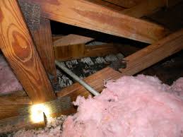 You can learn more about bats and we even have a diy guide on how you can remove bats yourself. Bats In The Attic Palm Beach County Friends Of Bat Friends Of Bat