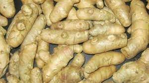 Rebus daun sirsak dengan dua gelas air putih. Sembuhkan Penyakit Maag Dengan Mengonsumsi Kunyit Putih Lengkap Dengan Cara Mengolahnya Tribun Cirebon