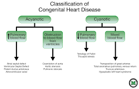 Congenital Heart Defects Classification Google Search