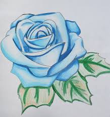 Drawing Beautiful Rose Pictures Of Flowers Rose Drawing I would like you to get as much.