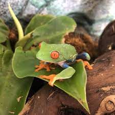 Check spelling or type a new query. Animal House Pets Supplies Pet Stores 100 Fox St Mukwonago Wi Phone Number Yelp
