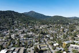 Image result for Larkspur 1986 Colne Valley Water Company