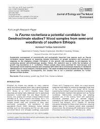 Image result for Faurea rochetiana