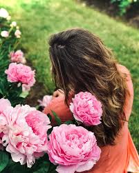 Maybe you would like to learn more about one of these? The Peony Society Www Peonysociety Eu