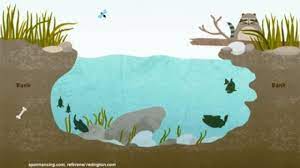 Cara panen ikan nila di kolam. Cara Mengetahui Tempat Yang Banyak Ikan Spotmancing Com