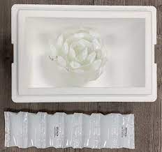 Chilled Transportation Of Blood Samples The Best Way Ridder Packaging