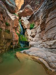 Image result for Chascanum