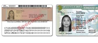 We did not find results for: Here To Stay U S Green Card Pioneers Secure Egovernment