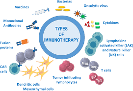 We did not find results for: Human Immunology And Immunotherapy Main Achievements And Challenges Cellular Molecular Immunology