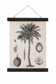 Wall Chart Palm Tree S 40x30