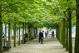 Currently, an entrance ticket to luxembourg gardens (jardin du luxembourg) costs usd 8.05. Jardin Du Luxembourg Paris For Visitors
