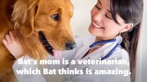 A Boy Called Bat Book Trailer