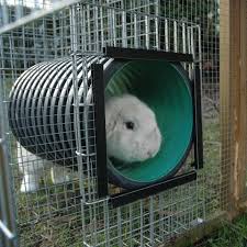 Example Of Runaround Tunnel Connector Rabbit Enclosure Large Rabbits Rabbit Hutches