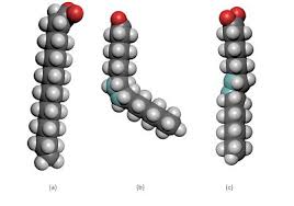 Image result for Fatty Acid