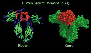 Lack of hgh can cause slow growth in children and also problems with fitness and health in adults. Human Growth Hormone