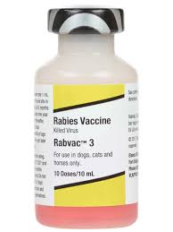 The virus is then introduced to the tissue. Rabvac 3 Rabies Vaccine For Dogs Cats And Horses Elanco Animal Health Rabies Vaccines