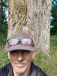 Narrow Cabin in Idlewild, Michigan, Historic Significance and Evolution