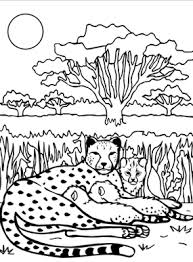 Free printable cheetah coloring pages. 25 Best Cheetah Coloring Pages For Your Little Ones Coloring Pages Coloring Pages For Kids Kids Art Projects