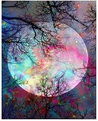 رقم لوحه عربيه ﻕ ﻡ ﺭ ١٤. Ù„ÙˆØ­Ø© ÙÙ†ÙŠØ© Ø²ÙŠØªÙŠØ© Ù…Ù† Candyl Diy Ø¨ÙˆØ§Ø³Ø·Ø© Number Moon Ù„Ù„Ø£Ø·ÙØ§Ù„ Ø§Ù„Ø¨Ø§Ù„ØºÙŠÙ† ÙˆØ§Ù„Ø·Ù„Ø§Ø¨ Ø§Ù„Ù…Ø¨ØªØ¯Ø¦ÙŠÙ† Ù„ÙˆØ­Ø§Øª ÙÙ†ÙŠØ© Ø²ÙŠØªÙŠØ© Ù…Ù† Ø§Ù„Ø£ÙƒØ±ÙŠÙ„ÙŠÙƒ Ù„Ù„Ø¯ÙŠÙƒÙˆØ± Ø§Ù„Ù…Ù†Ø²Ù„ÙŠ Ø¹Ù„Ù‰ Ø´ÙƒÙ„ Ù‚Ù…Ø± Ø³Ø§Ø·Ø¹ 40 64 50 8 Ø³Ù… Amazon Ae Ø§Ù„ÙÙ†ÙˆÙ† ÙˆØ§Ù„Ø­Ø±Ù