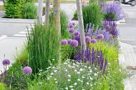 Carex Garden Design By Carolyn Mullet Plants Perennials Garden Types