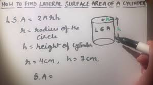 Slice the soup can straight down its side and flatten it out. How To Find Lateral Surface Area Of A Cylinder Lateral Surface Area Of A Cylinder Formula Youtube