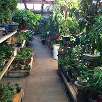 Velg blant mange lignende scener. Sunshine Miniature Trees Vickery Meadows 7118 Greenville Ave