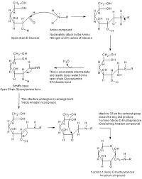 Maillard Reaction Wikipedia The Free Encyclopedia Maillard Reaction Reactions Studying Food