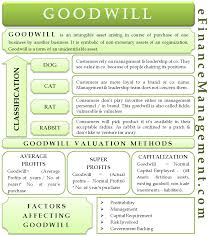 Goodwill Classes Cat Dog Rat Rabbit Valuation Factors Affecting Financial Accounting Bookkeeping Business Accounting Notes