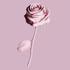 Aesthetic wallpapers vaporwave 1080p neon retro dark backgrounds phone iphone outrun 3d hd background trendy dreamy moon site dump. 1080x1080 Aesthetic Wallpapers Top Free 1080x1080 Aesthetic Backgrounds Wallpaperaccess