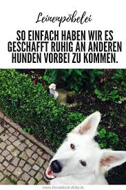 Ein Lacheln Gegen Leinenpobeln Hundekind Abby Hundeblog Hunde Hunde Erziehen Hunde Korpersprache