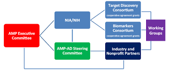 Accelerating Medicines Partnership Alzheimers Disease