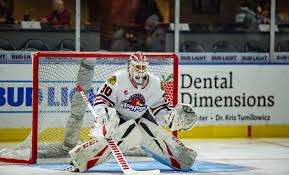Matt tomkins does not have any nhl stats. High On The Hog The Goalie Tripod Faxes From Uncle Dale