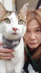 Ragnar, also known as Boogie Shuffle, looks shiny and healthy