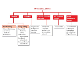 Pin On Pharmacology