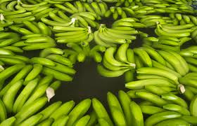 Check out our banana pod selection for the very best in unique or custom, handmade pieces from our shops. Top 12 Facts About Fairtrade Bananas Fairtrade Foundation
