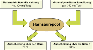 Definition Ursachen Symptome Folgen Hyperurikamie Gicht Ernaehrung De